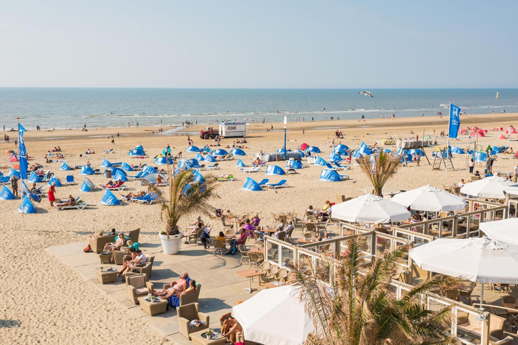 Chalet Zandvoort Buitenkant foto